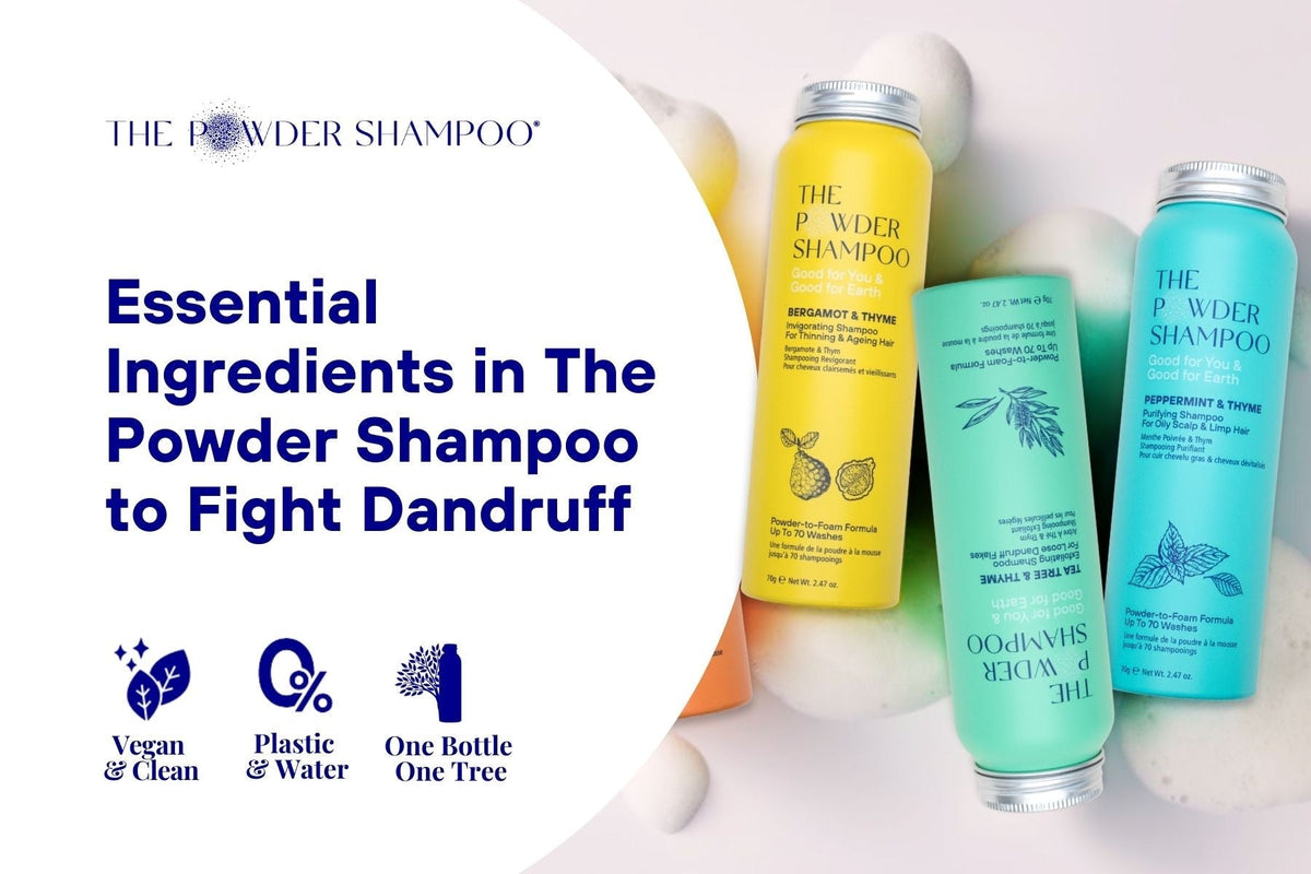 Essential Ingredients in The Powder Shampoo to Fight Dandruff