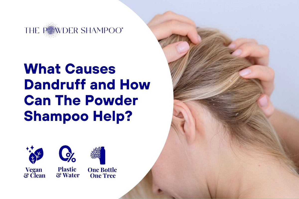 What Causes Dandruff and How Can The Powder Shampoo Help?