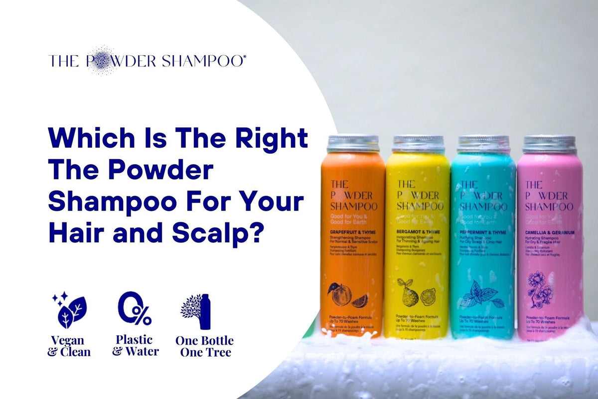 Which Is The Right The Powder Shampoo For Your Hair and Scalp?