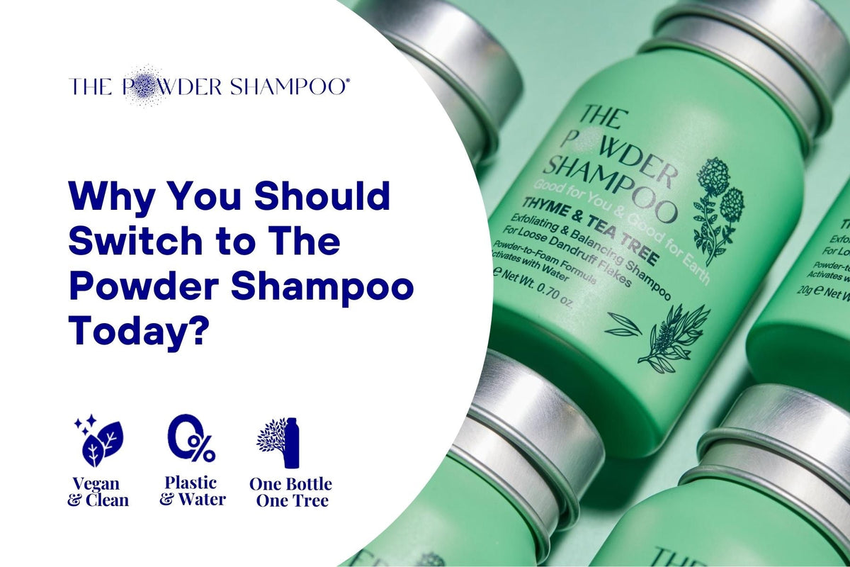 Why You Should Switch to The Powder Shampoo Today?