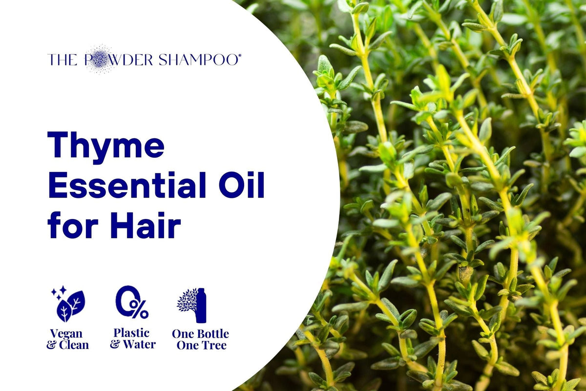 Thyme Essential Oil for Hair