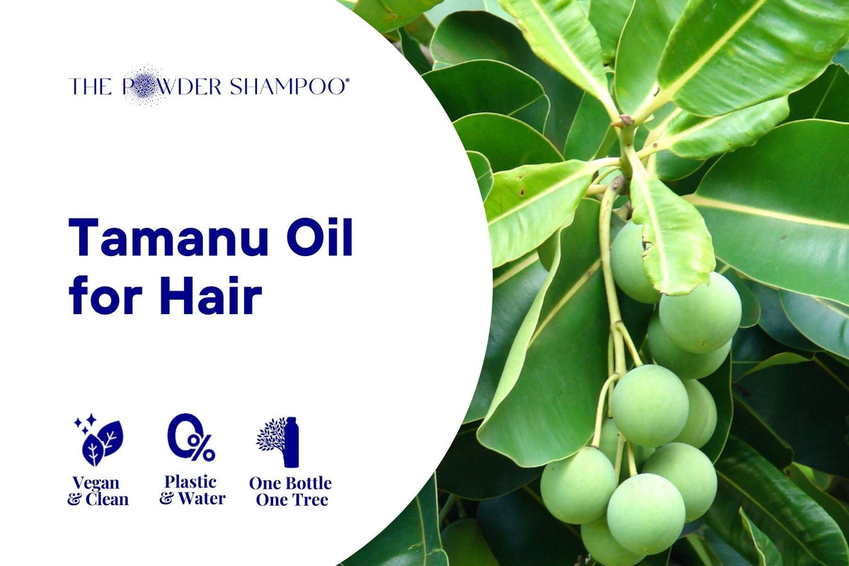 Tamanu Oil for Hair