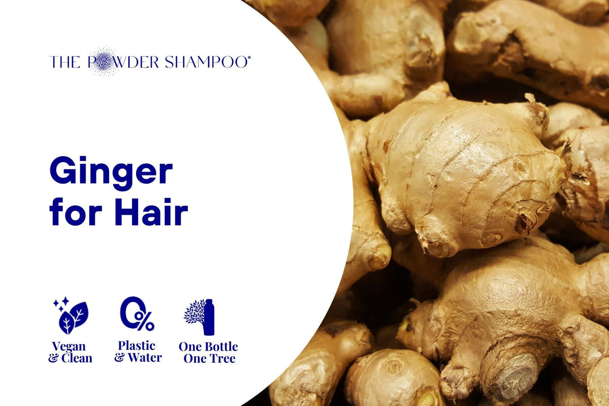 Ginger for Hair