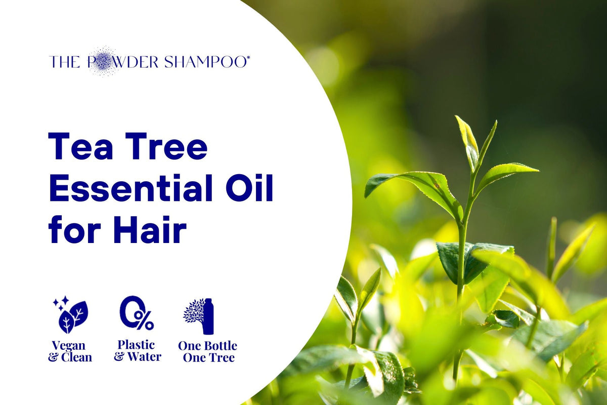 Tea Tree Essential Oil for Hair