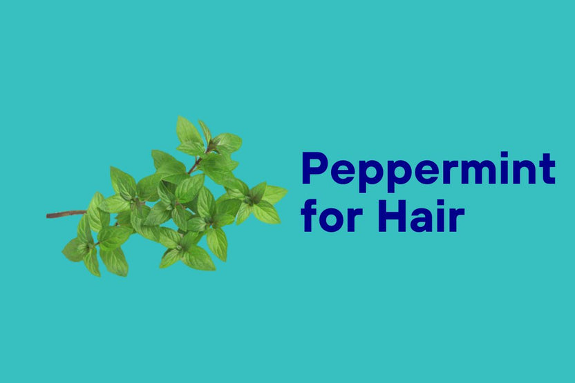 Peppermint Essential Oil For Hair – The Powder Shampoo