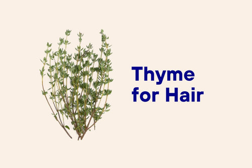 Thyme Essential Oil For Hair – The Powder Shampoo