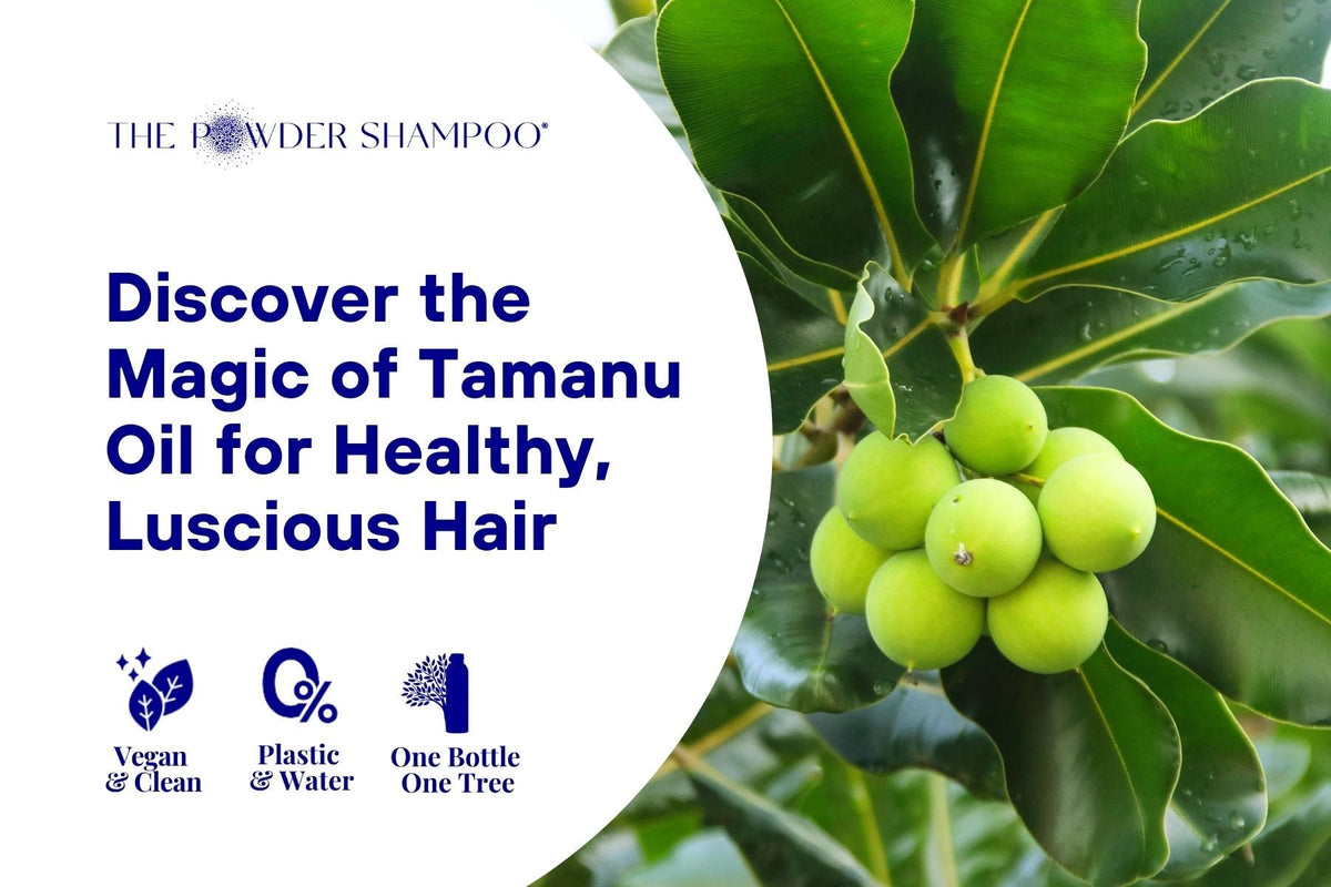 Discover the Magic of Tamanu Oil for Healthy, Luscious Hair