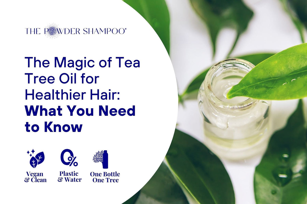 The Magic of Tea Tree Oil for Healthier Hair: What You Need to Know