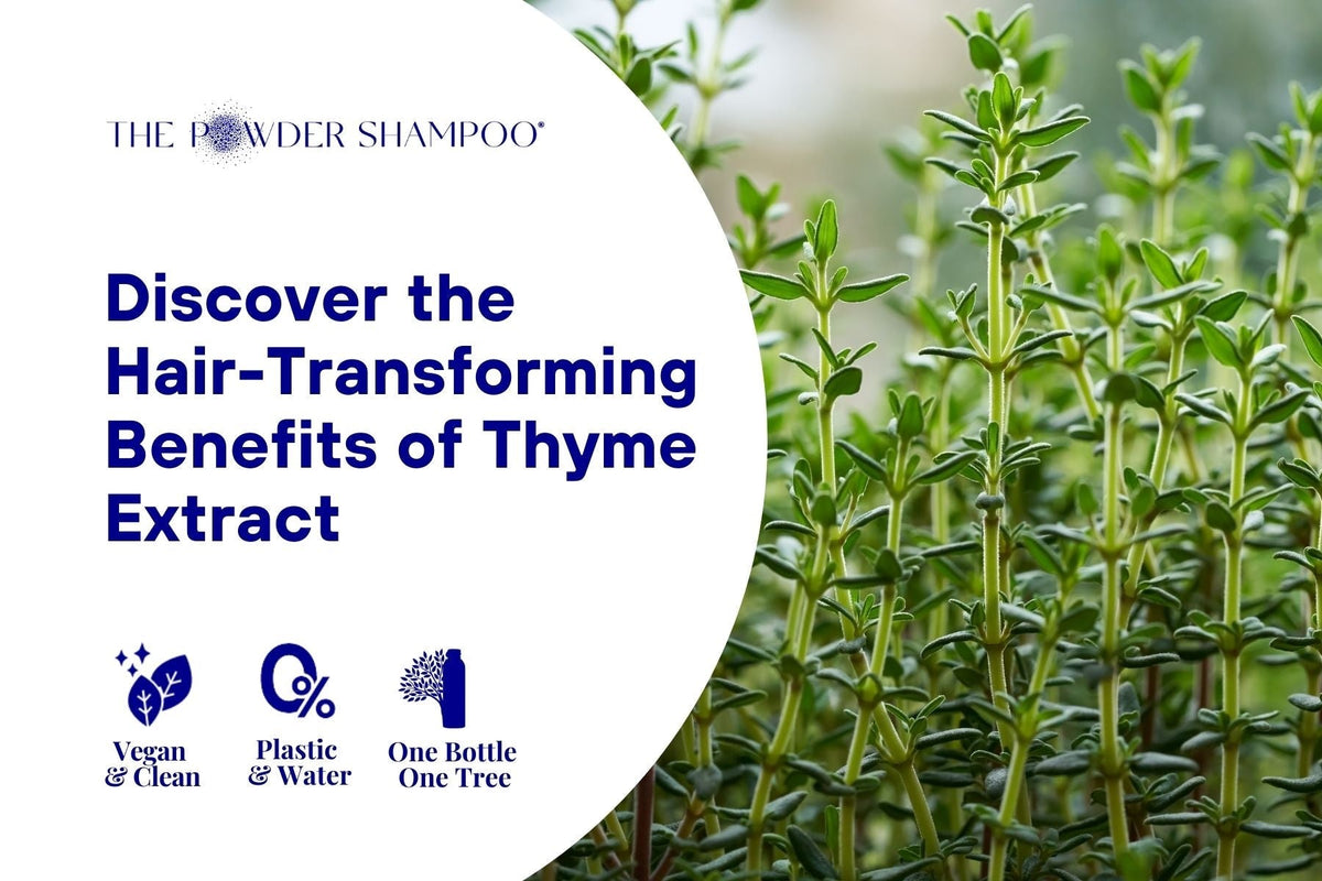 Discover the Hair-Transforming Benefits of Thyme Extract