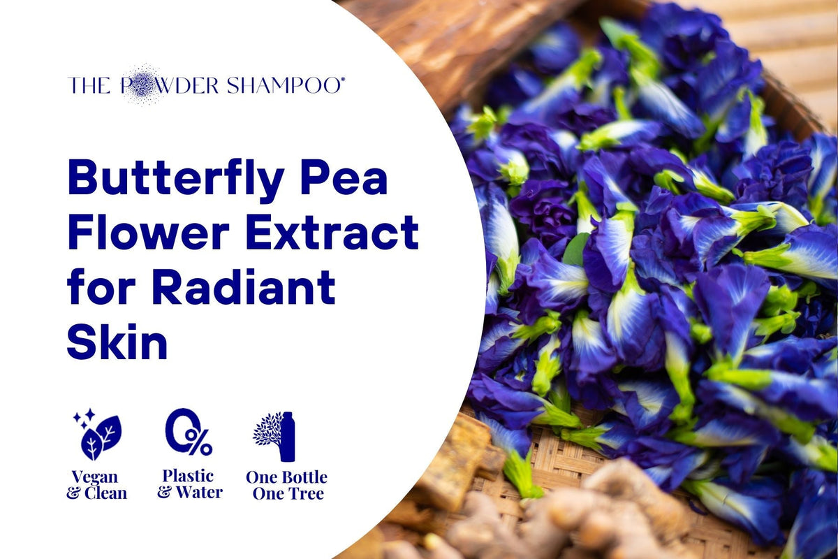 Unlock the Elixir of Youth: Butterfly Pea Flower Extract for Radiant Skin