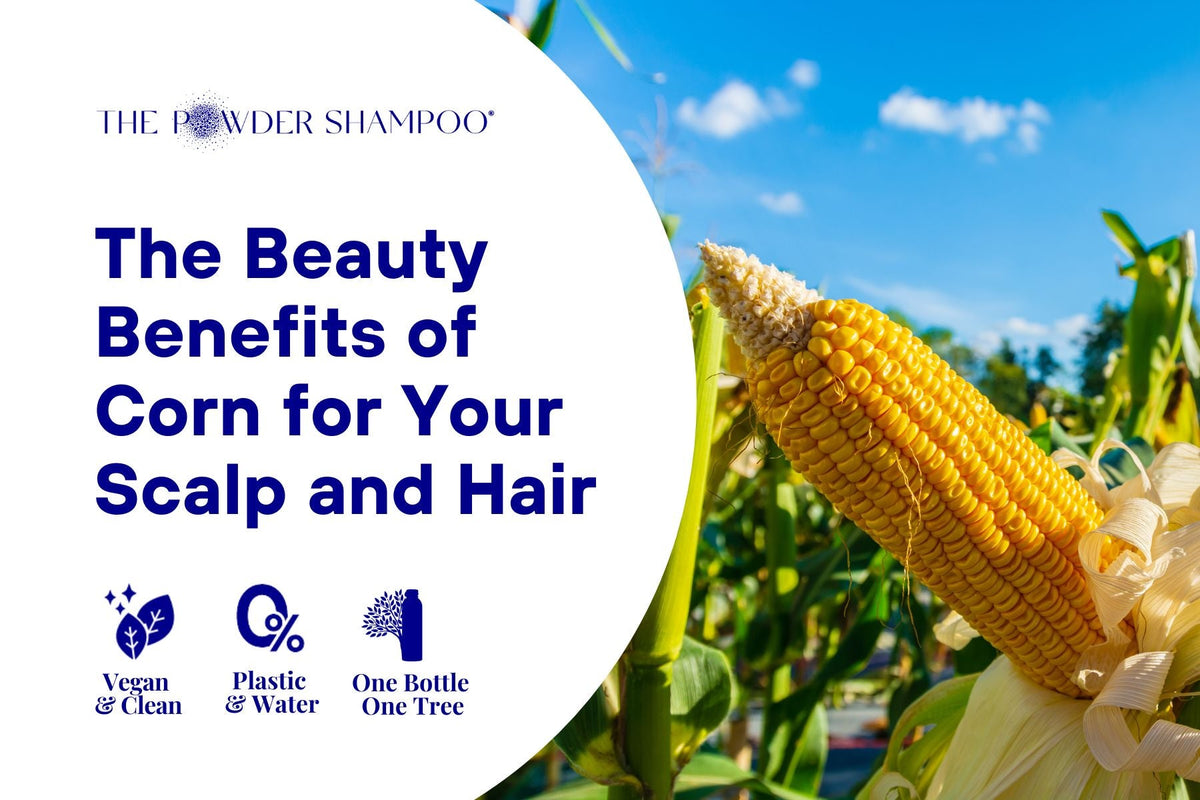 Unveiling the Golden Secret: The Beauty Benefits of Corn for Your Scalp and Hair