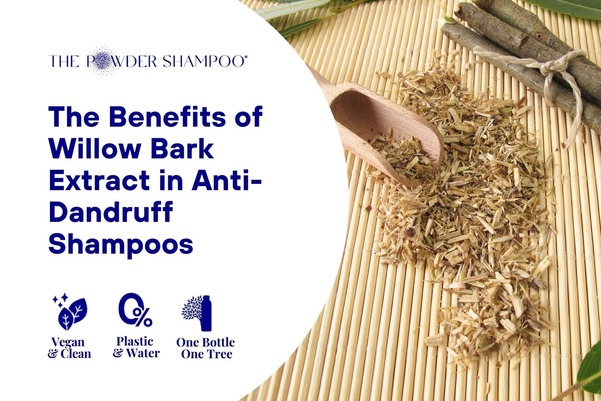 Harnessing Nature's Power: The Benefits of Willow Bark Extract in Anti-Dandruff Shampoos