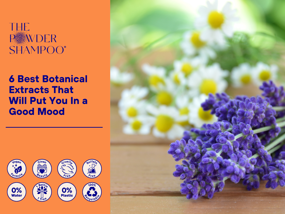 6 Best Botanical Extracts That Will Put You In a Good Mood