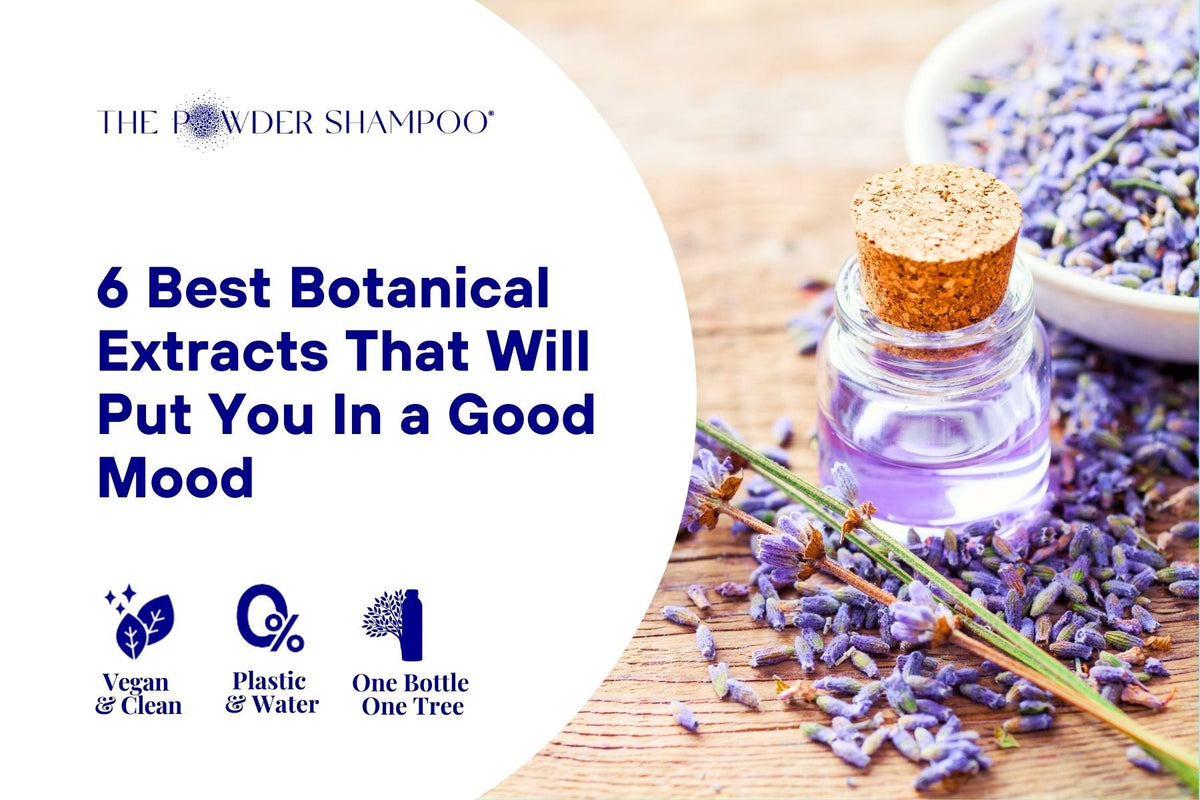 6 Best Botanical Extracts That Will Put You In a Good Mood