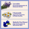 Relaxing Body Foam Wash For All Skin Types Lavender & Chamomile Starter Kit (140x Washes)